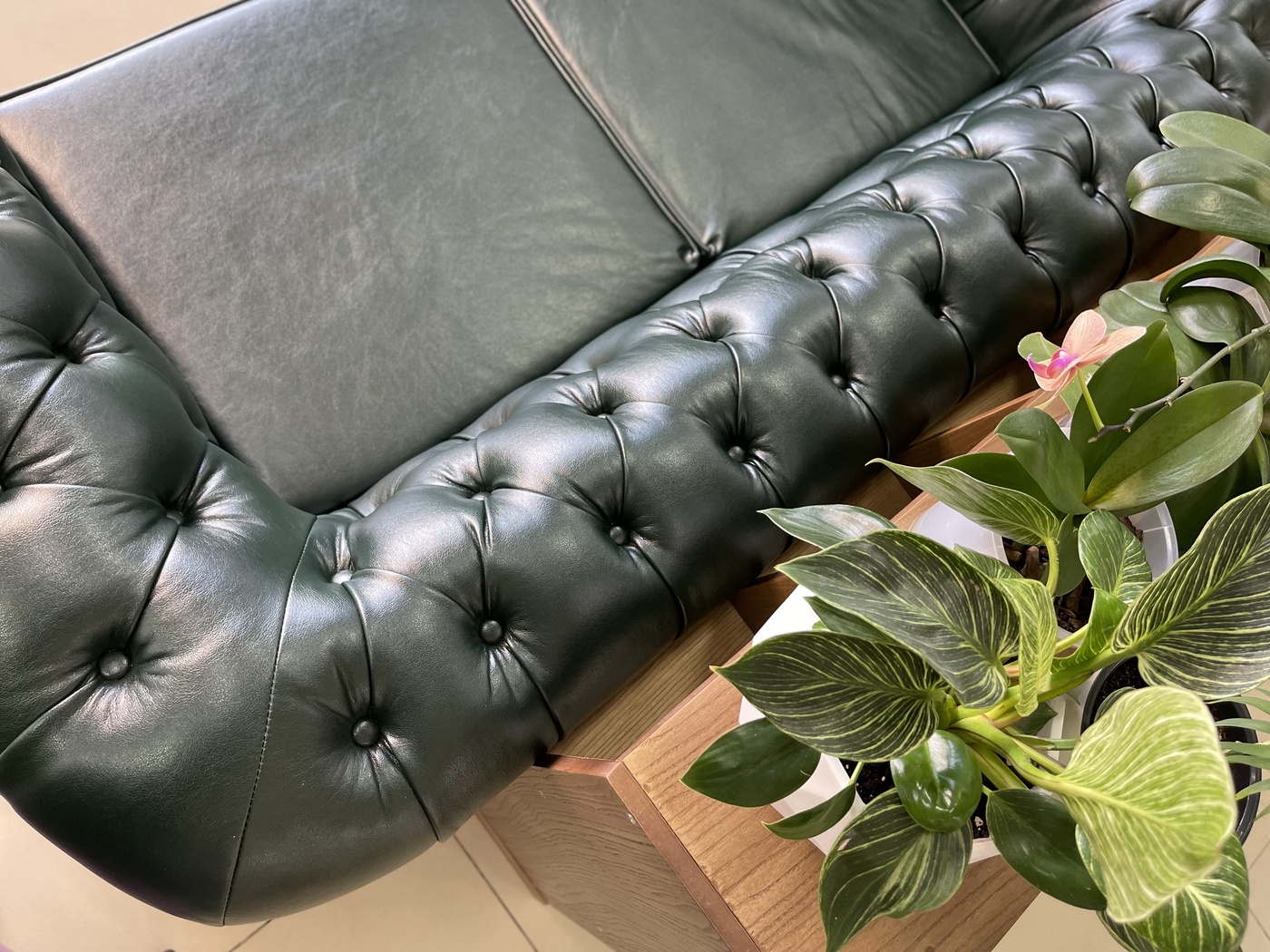 Честер
