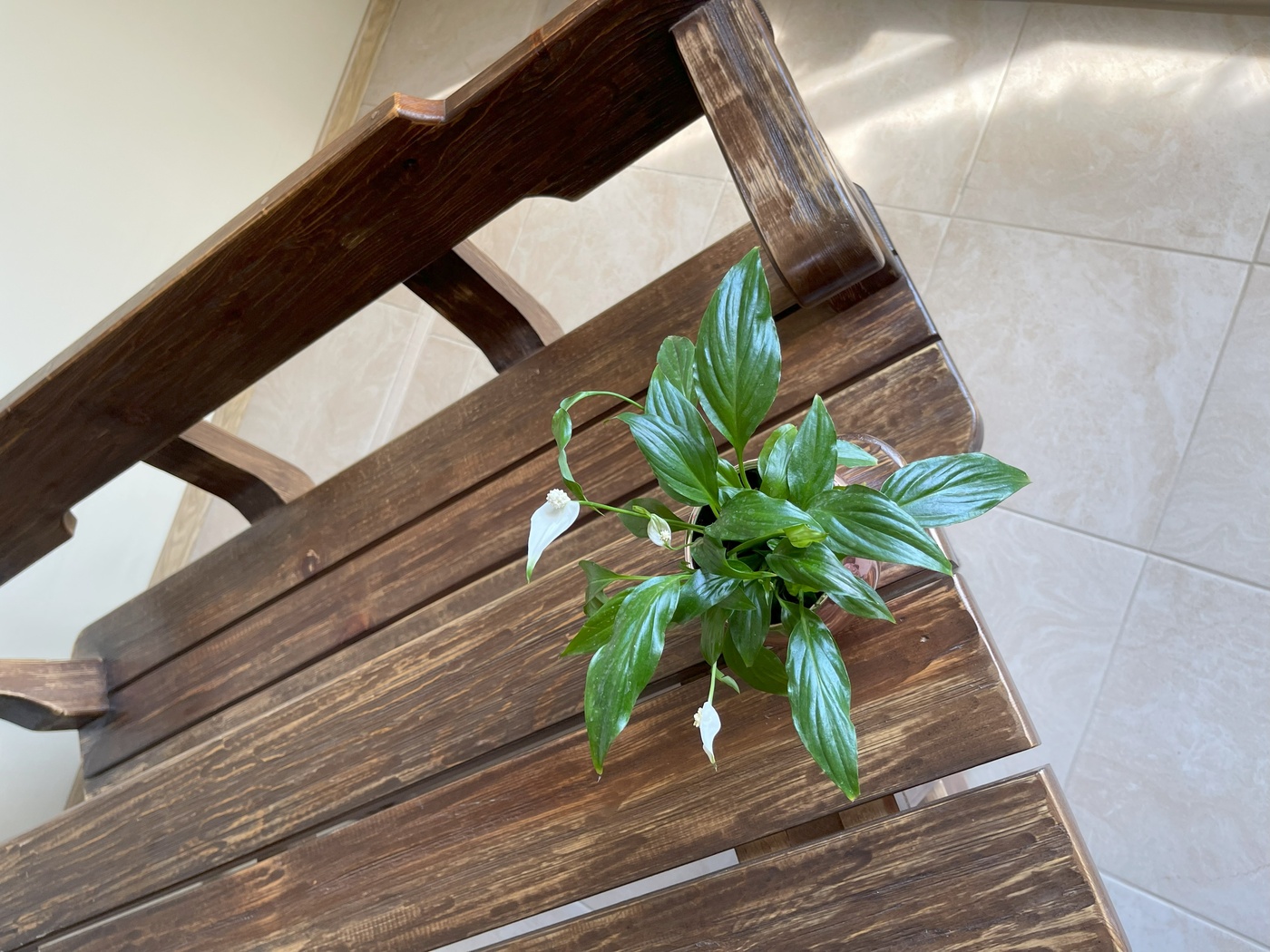 Garden Loft  Wood  номер 1