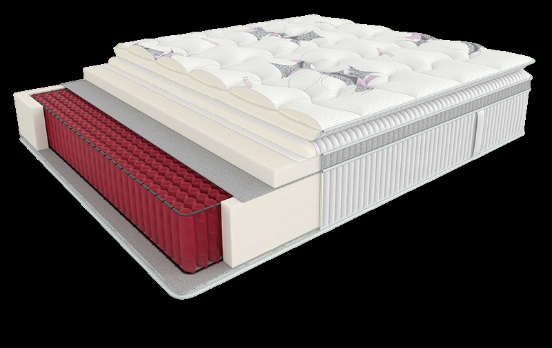 Dream Rest Form